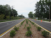 Road-Construction-King-Street-Median